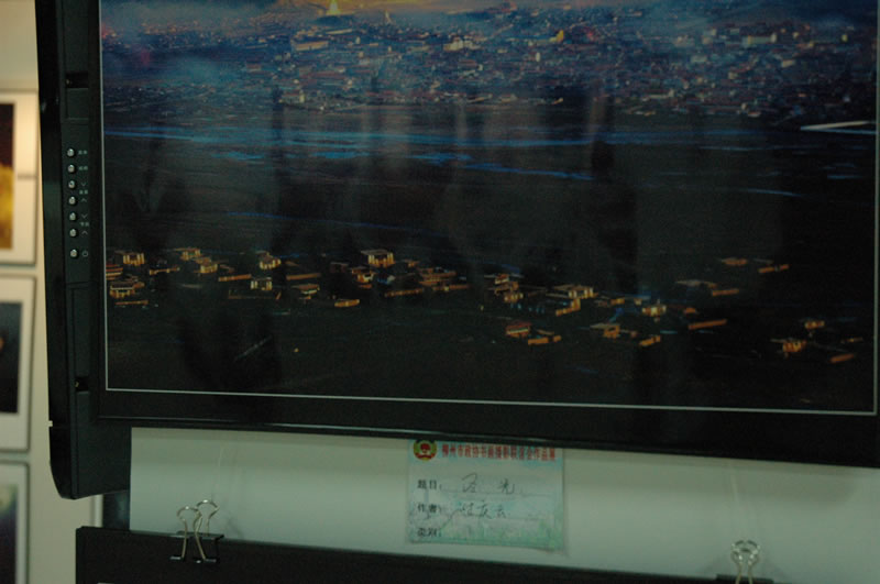 N:\存档\000政协首届书画摄影展览\谢庆云\DSC_1594.jpg