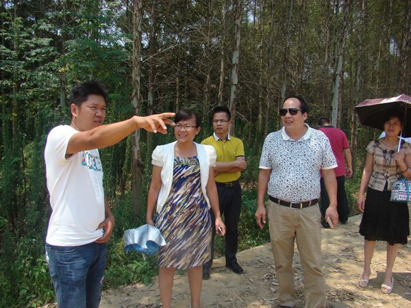 柳城太平人口_柳城太平图片