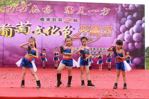 小模特们用葡萄来表演“丰收的喜悦” 小模特们用葡萄来表演“丰收的喜悦”