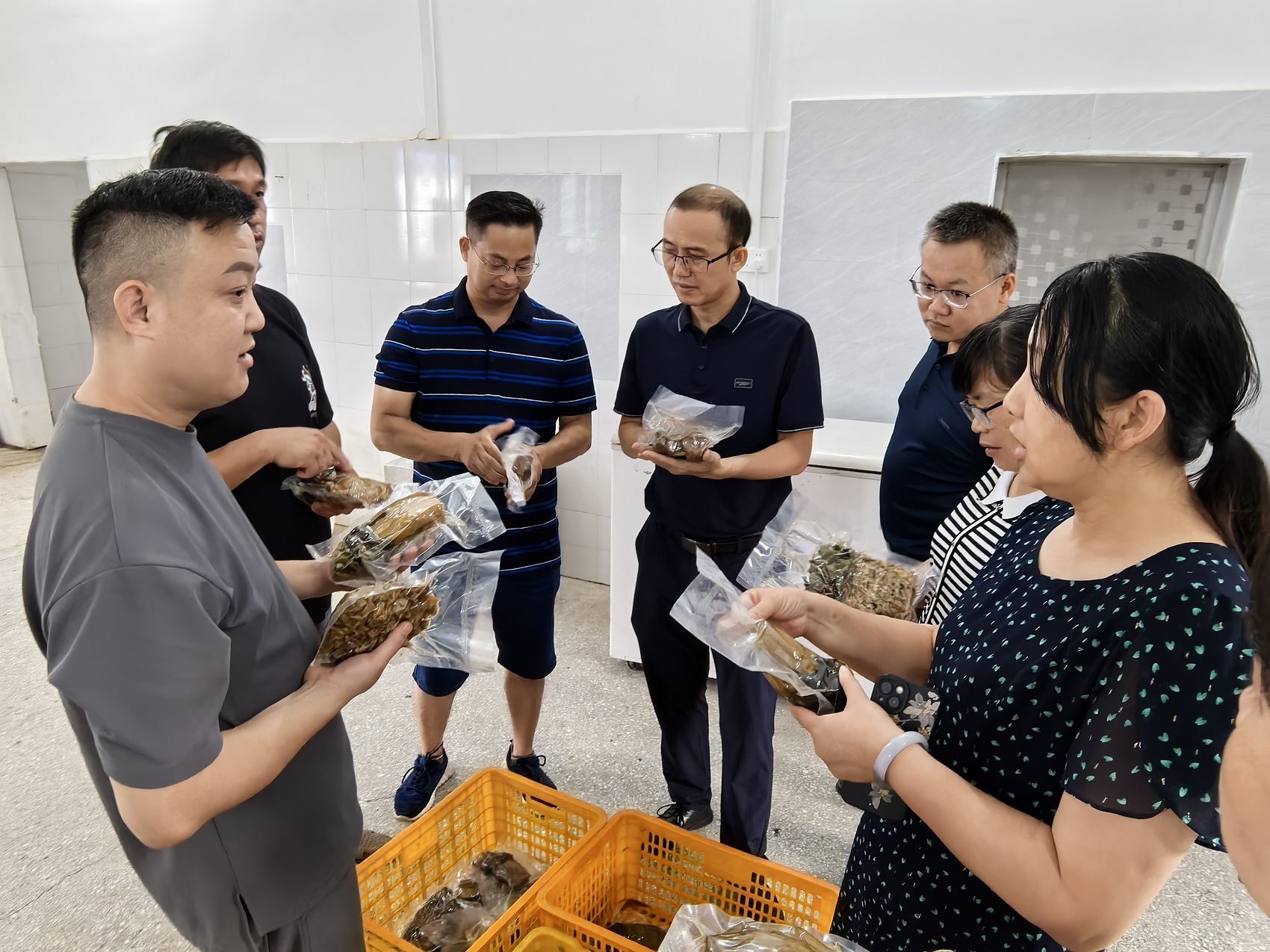 8月1日下午,在广西柳州市壮家厨娘食品有限公司农产品加工项目基地,长安镇委员联络站驻站委员调研走访农产品小洲头菜种植、深加工、管理、销售和品牌打造等情况。(莫夏夏).jpg