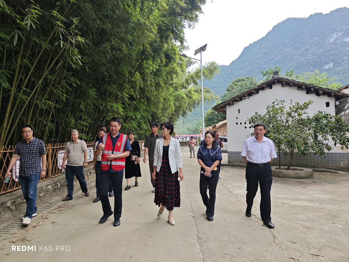 10月9日,考察组一行在靖西县汉邦村实地学习考察乡村基层治理经验现场图片。(覃章 摄).jpg
