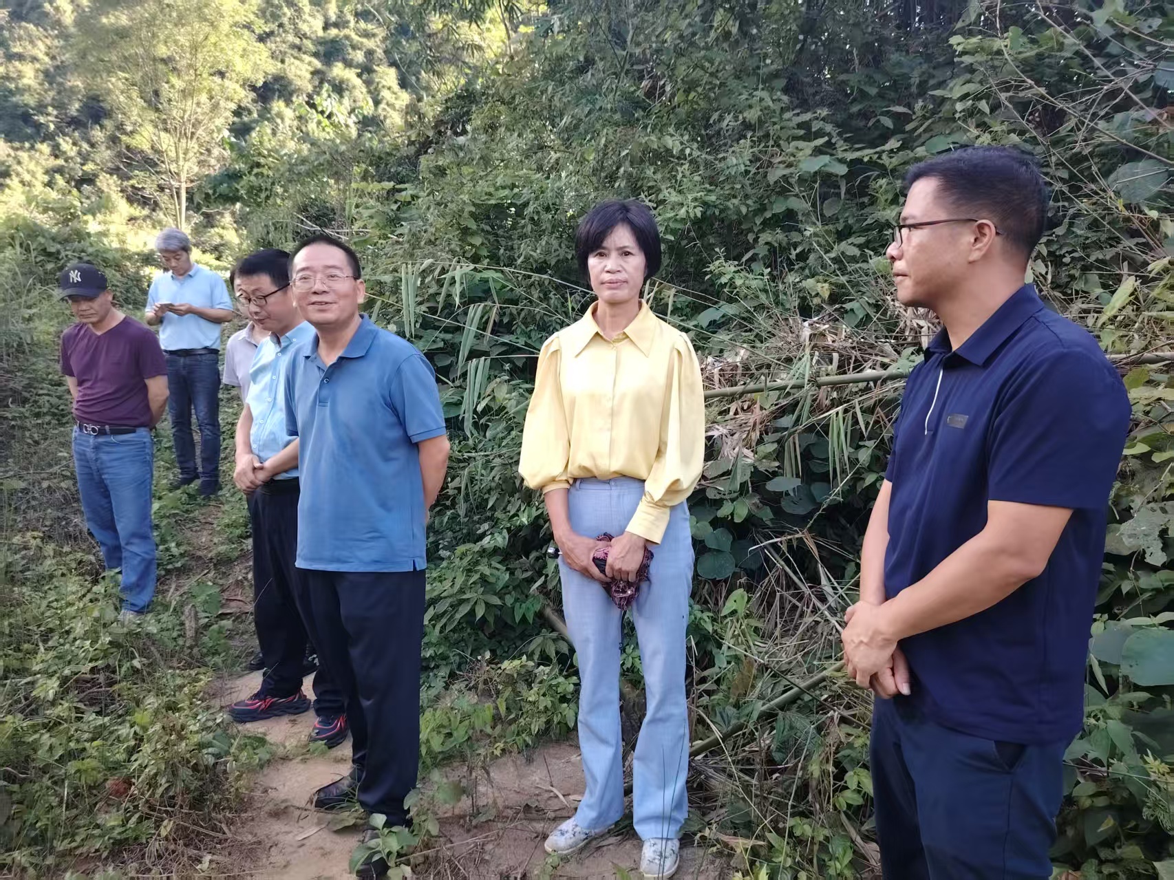 7月2日,到融安县泗顶镇开展专题实地调研现场图片。(覃莉 摄).jpg