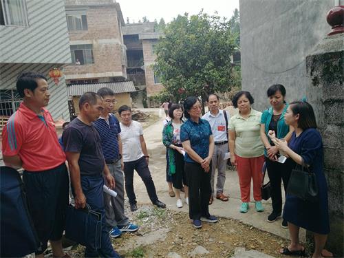 工作人员向陈虹主席介绍改厕工作情况
