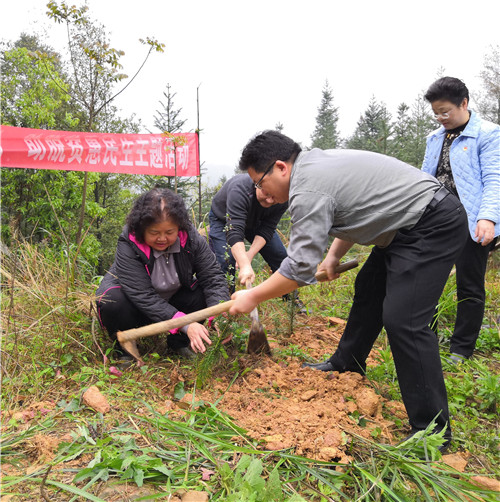 8、柳州市税务局副局长周秋容(右一)、融水苗族自治县政协副主席贾寒春(左一)参加植树活动