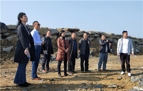 3、路燕云主席(右四)带队永乐镇北高村调研2019年中国-东盟博览会签约项目宏润生态养殖项目建设情况。(赖晓梅 摄影)
