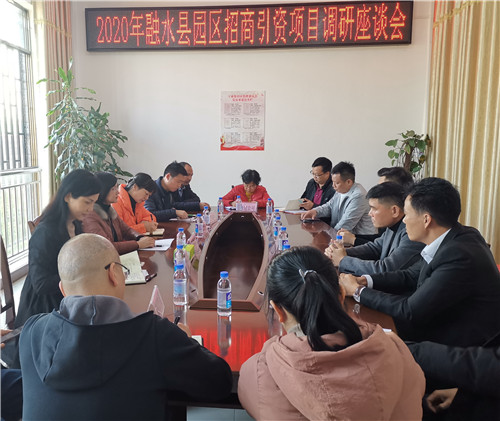 1、路燕云主席(左排左二)在2020年融水县园区项目招商调研座谈会上听取有关部门汇报园区招商有关情况。(石恒安 摄影)