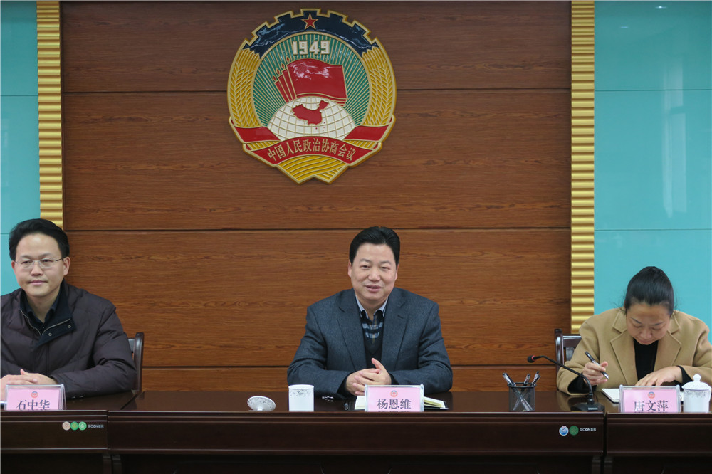 图为杨恩维书记在座谈会上讲话