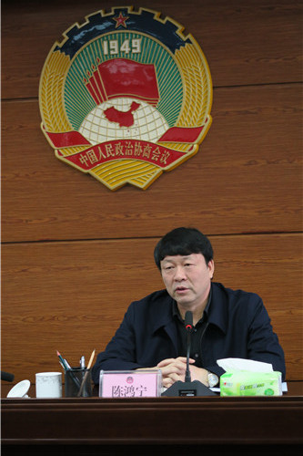 2、陈鸿宁主席在融水政协座谈会上讲话(赖群超 摄影)