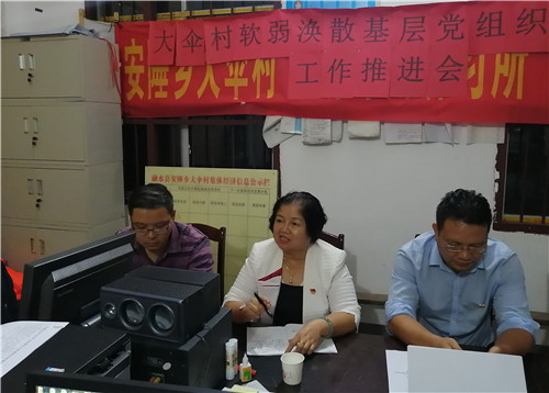 7、贾寒表副主席(中)在安陲乡大伞村软弱涣散基层党组织整改工作推进会上讲话