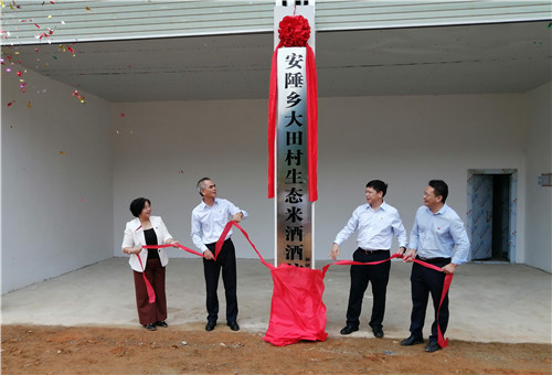 6、柳钢集团援建的安陲乡大田村生态米酒酒坊揭牌仪式