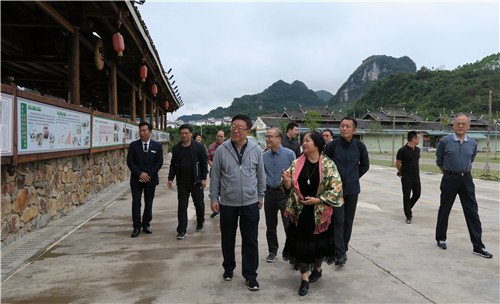在考察融水梦呜苗寨时,融水县政协副主席贾寒春(前排右)向辽宁省政协副主席李晓安介绍融水推进文化旅游深度融合发展工作情况