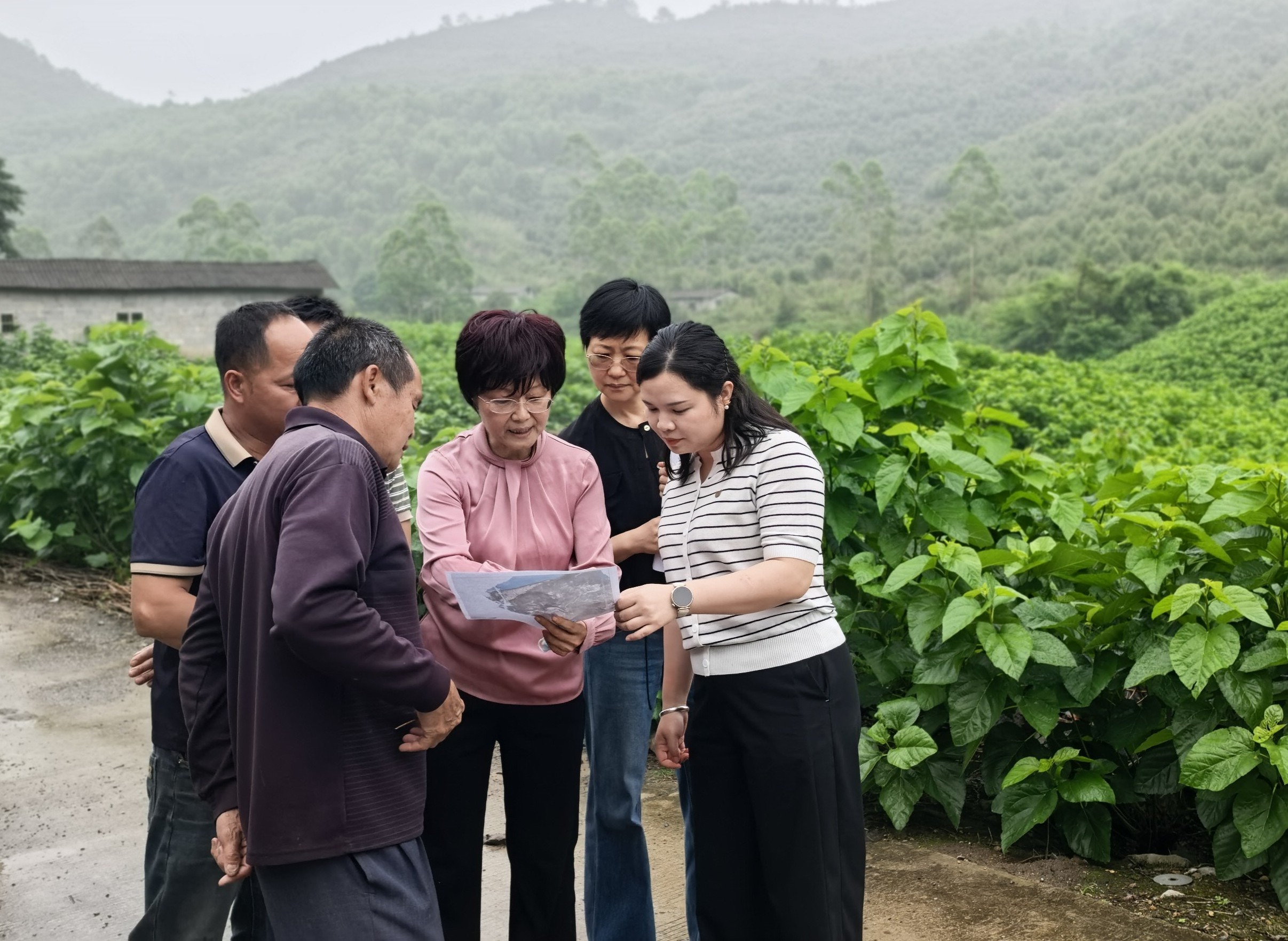 历史积案调研1_副本.jpg